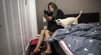 网红少女污秽图,揭秘网络暴力与道德沦丧