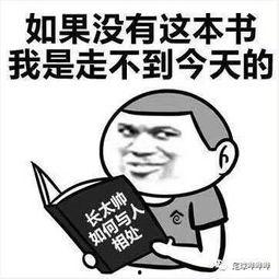 强势回归的表情包,表情包中的幽默力量