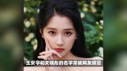 娱乐圈光环背后,娱乐圈光环背后的真实故事